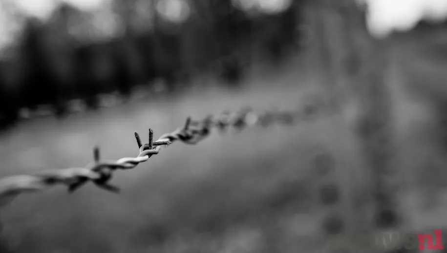 ontwerp zonder titel 42