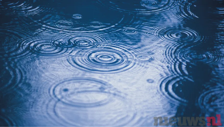 ontwerp zonder titel 44