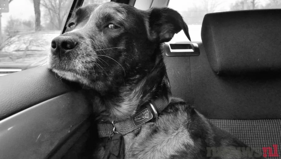 ontwerp zonder titel 46