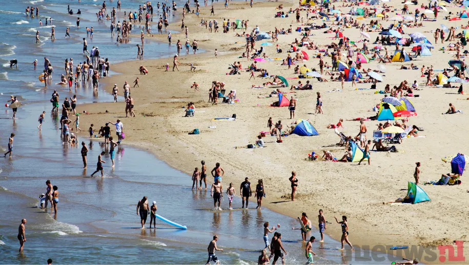 ontwerp zonder titel 47