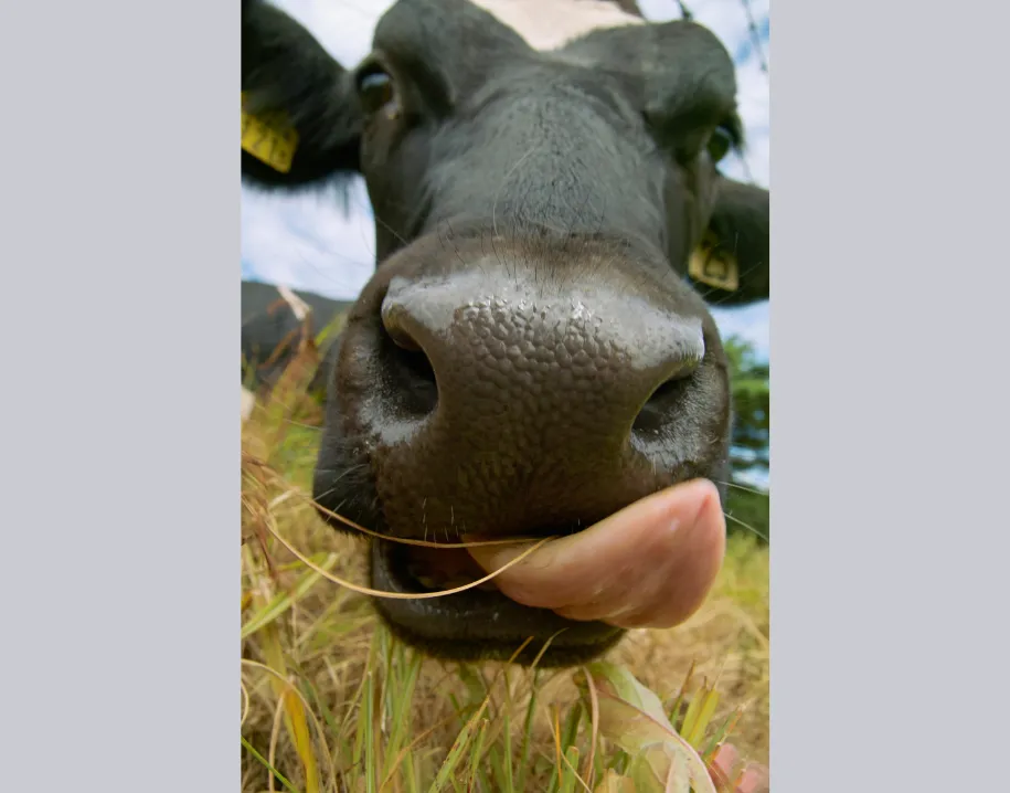 ontwerp zonder titel 48