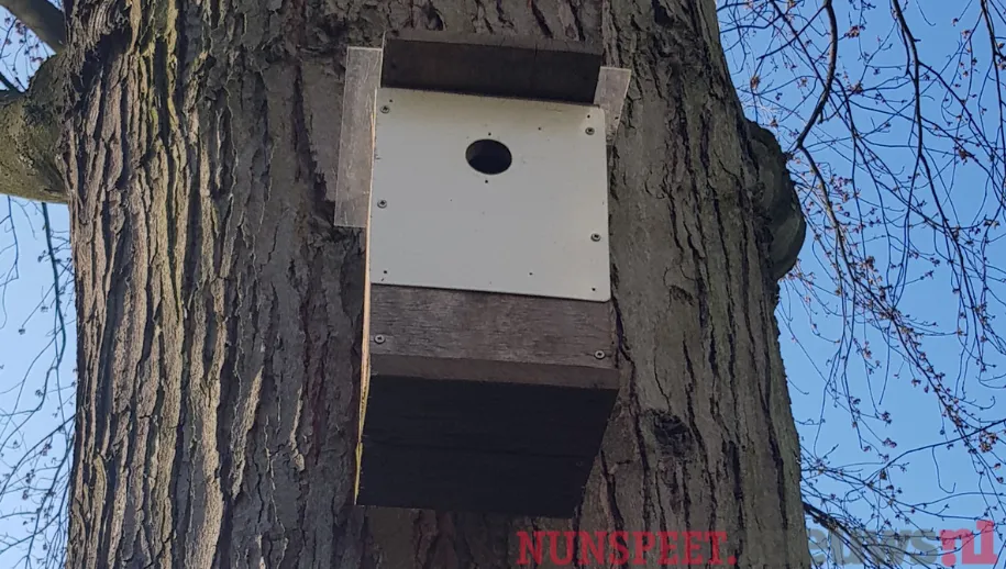 ontwerp zonder titel 55