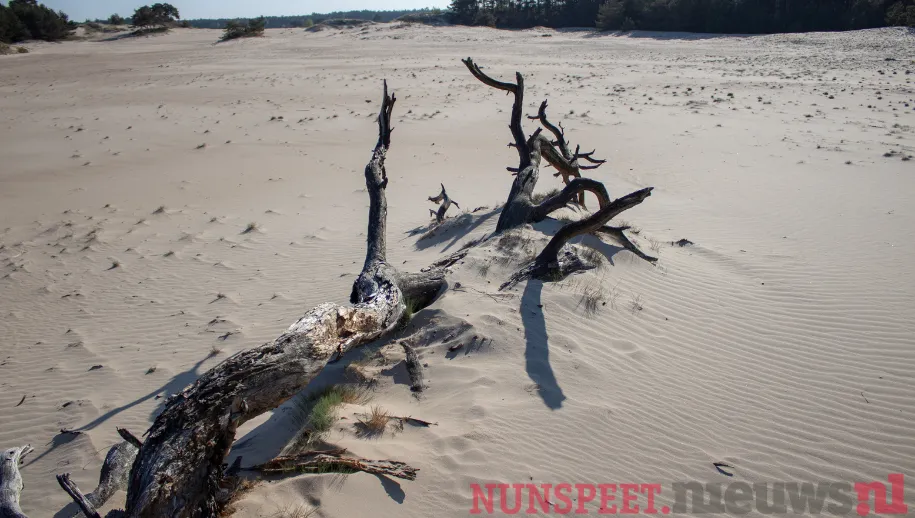 ontwerp zonder titel 56