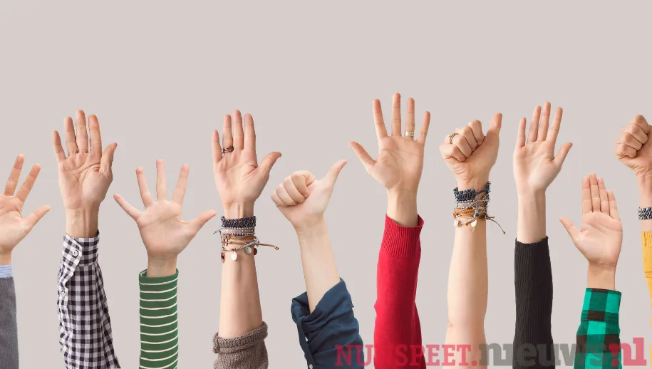 ontwerp zonder titel 58