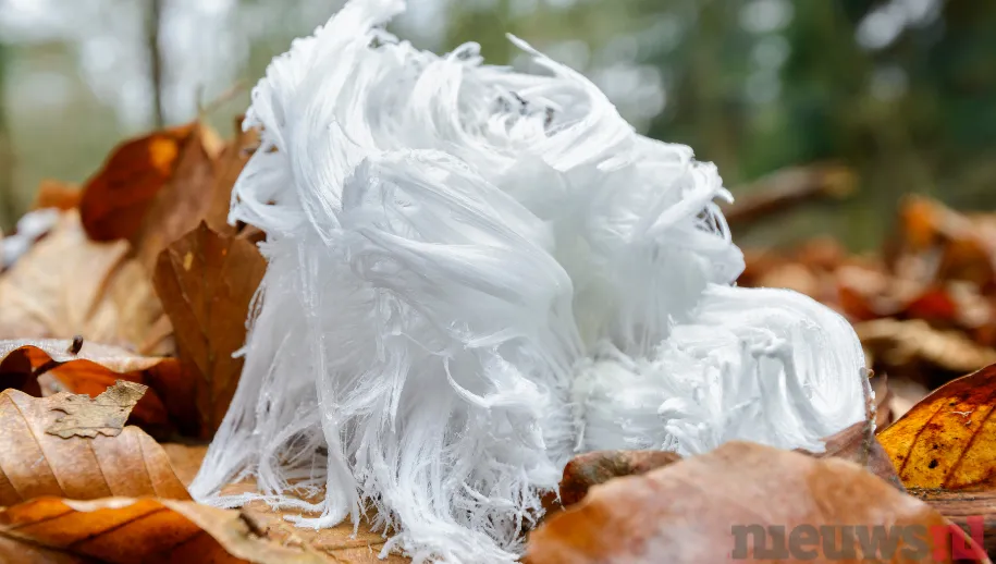 ontwerp zonder titel 59 1