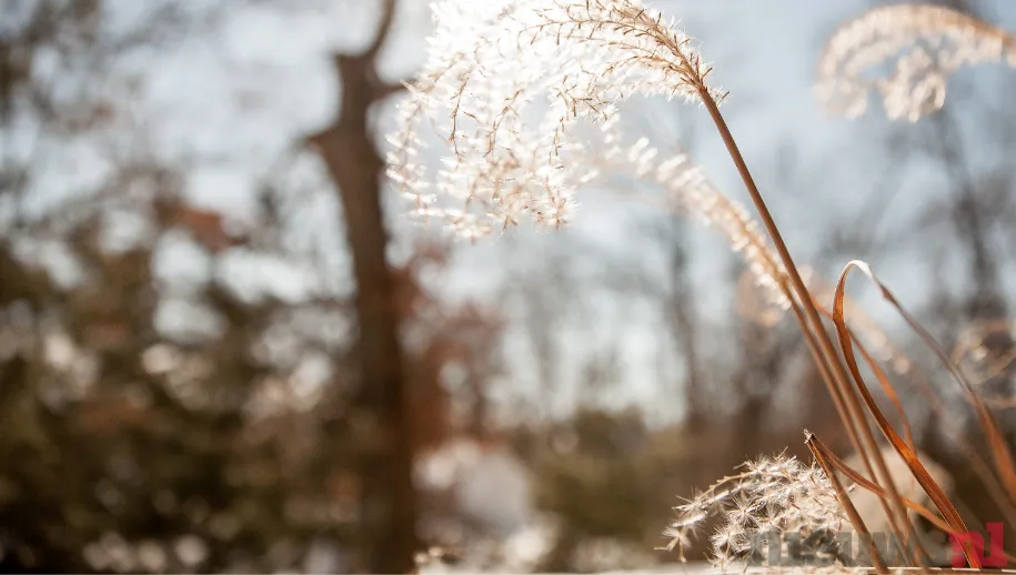 ontwerp zonder titel 66