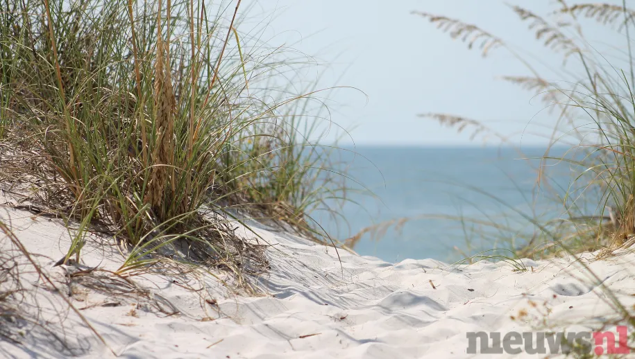 ontwerp zonder titel 68