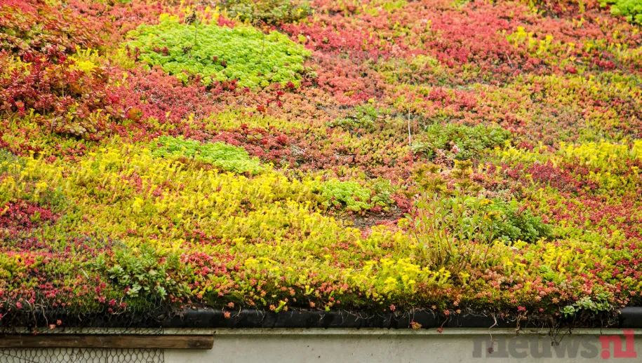 ontwerp zonder titel 70