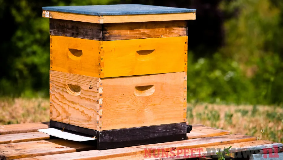 ontwerp zonder titel 72