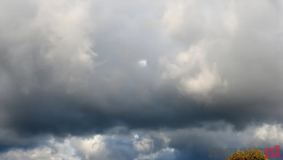 ontwerp zonder titel 74