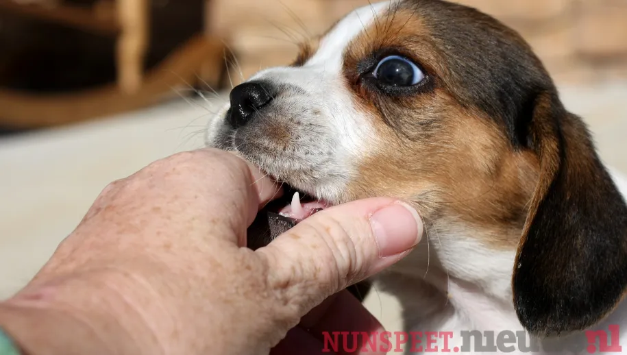 ontwerp zonder titel 8