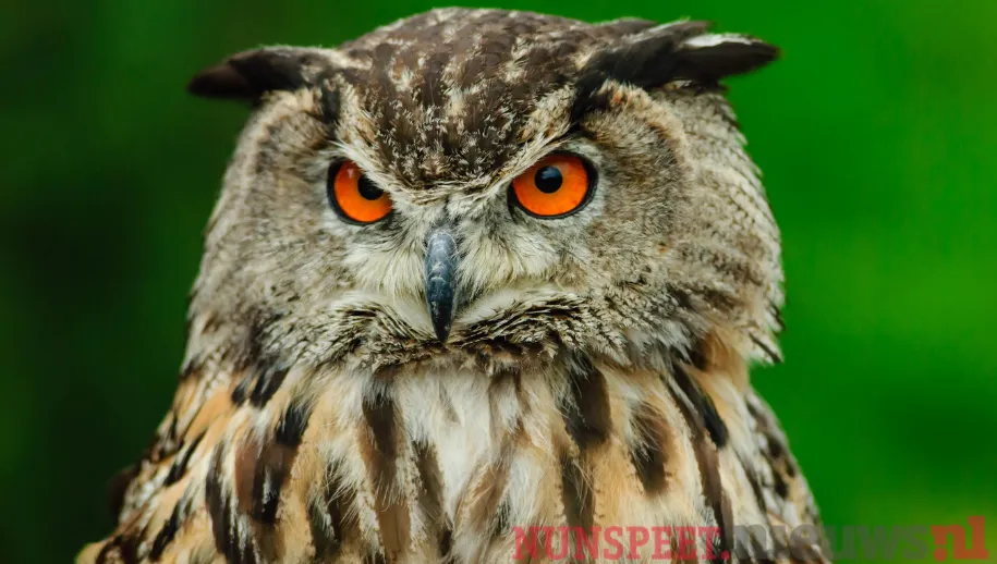 ontwerp zonder titel 95