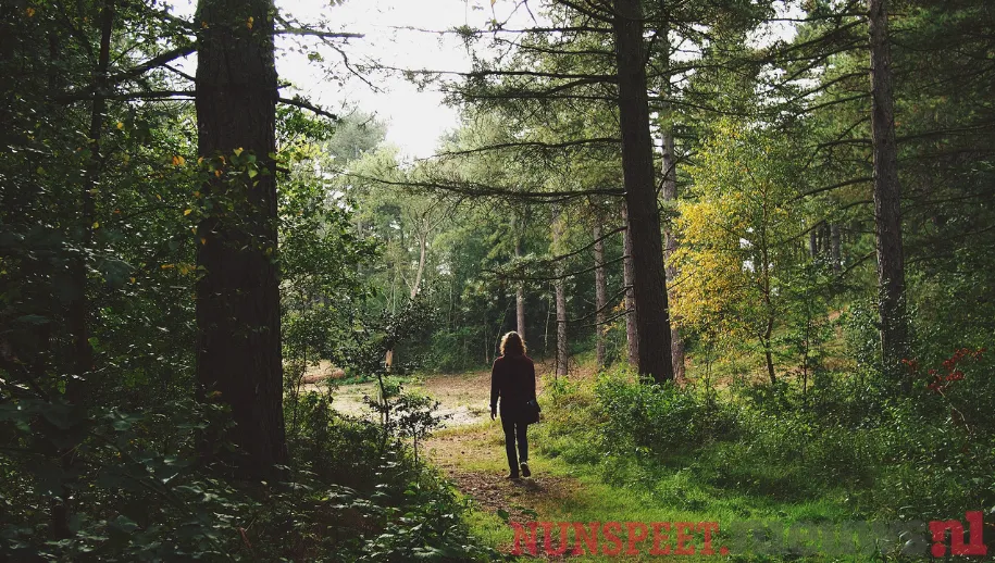 ontwerp zonder titel 97