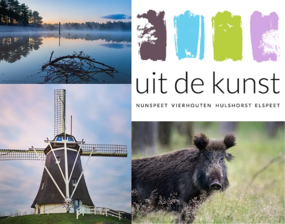 ontwerp zonder titel