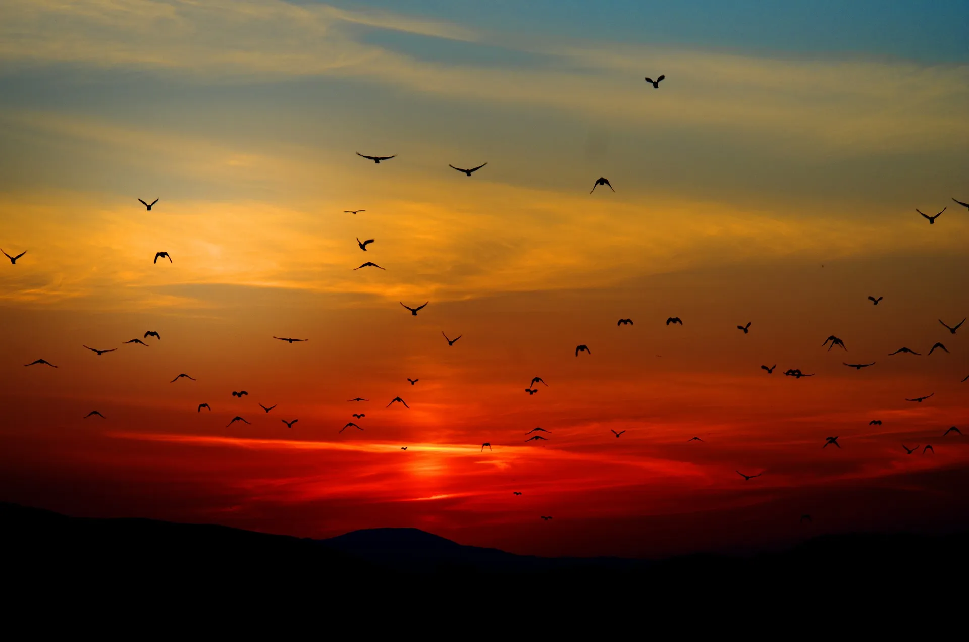 sunset 100367 1920
