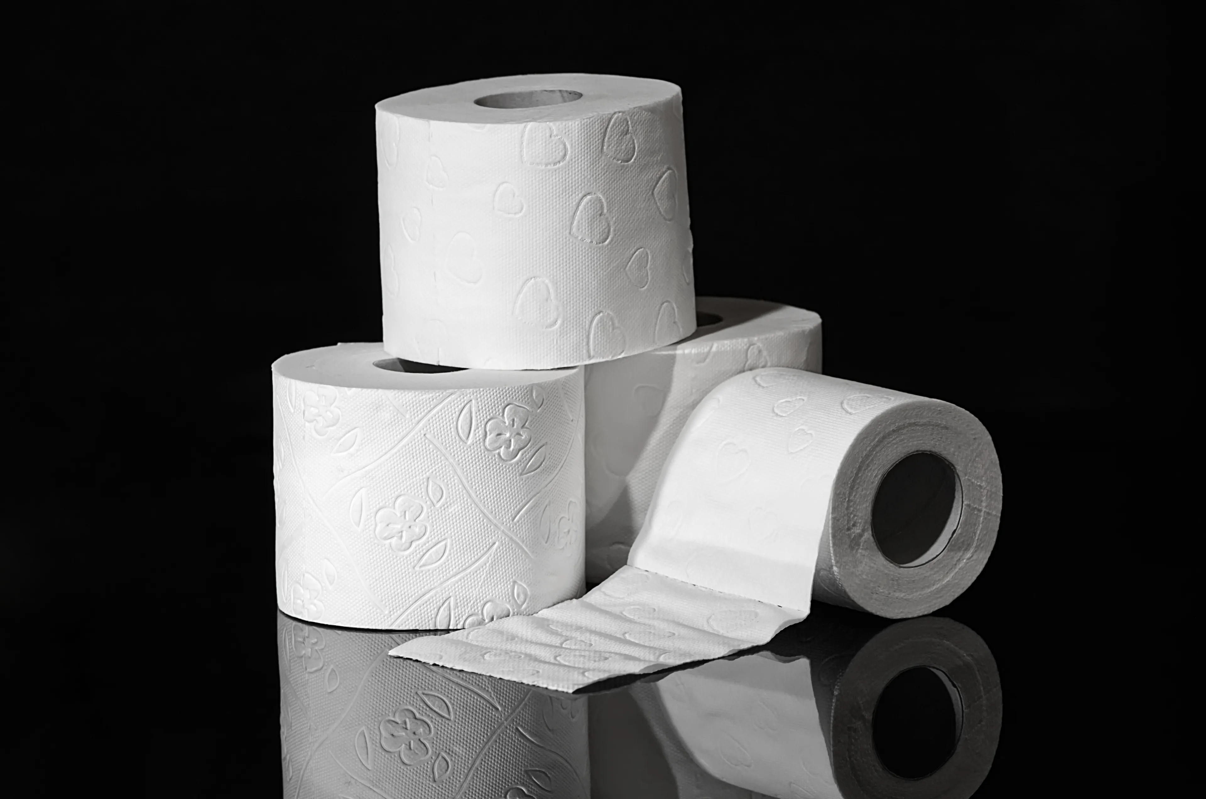 toilet paper 3964492