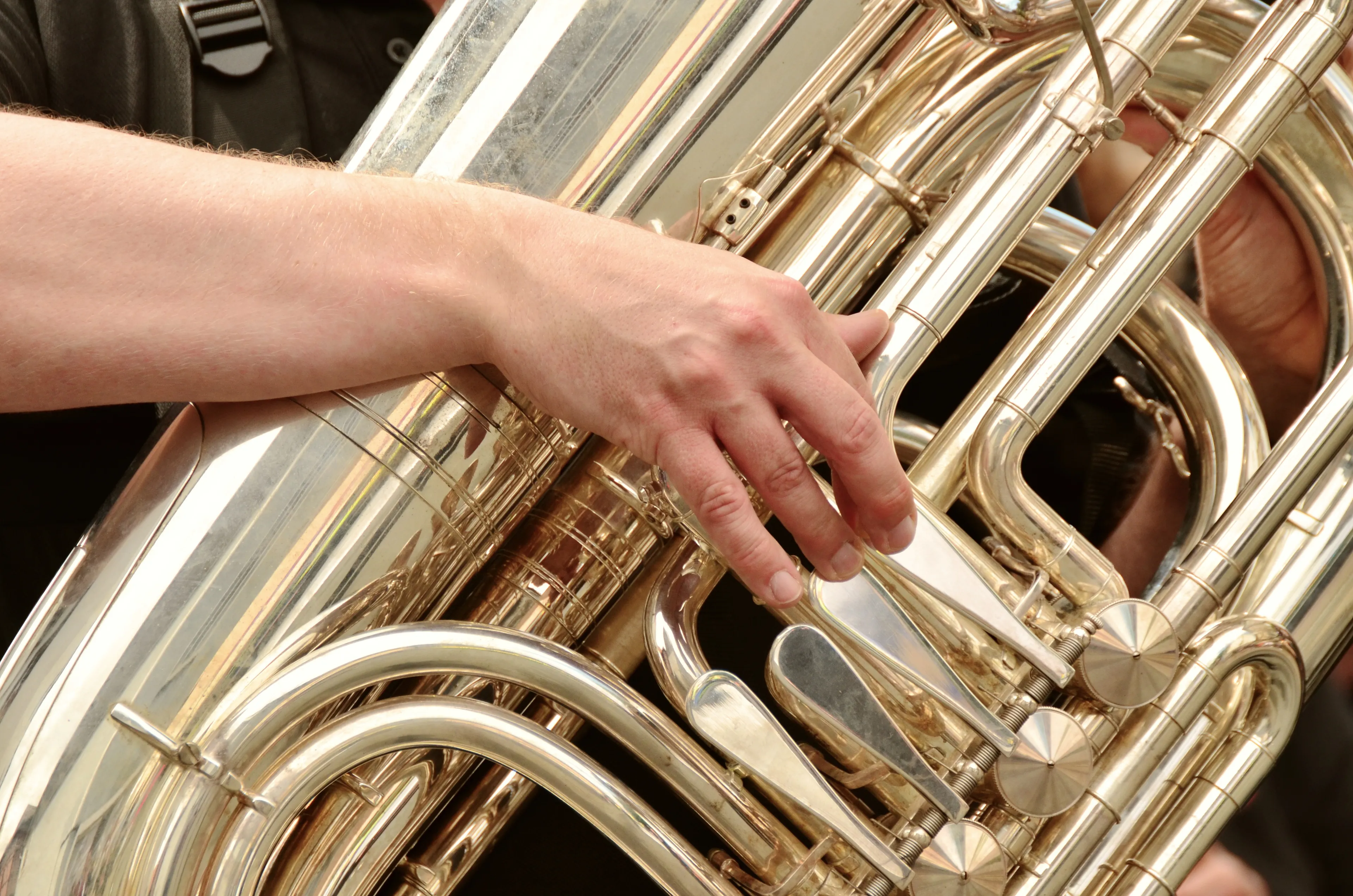 tuba 3246641