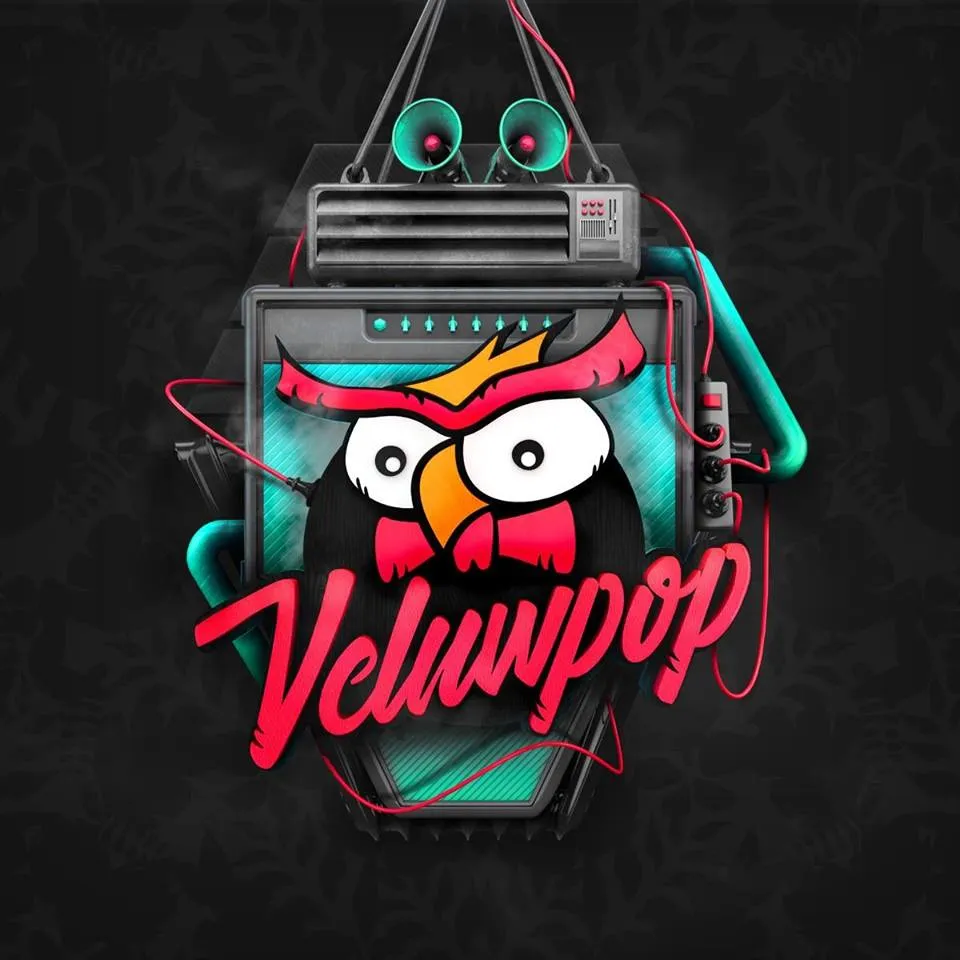 veluwpop fb