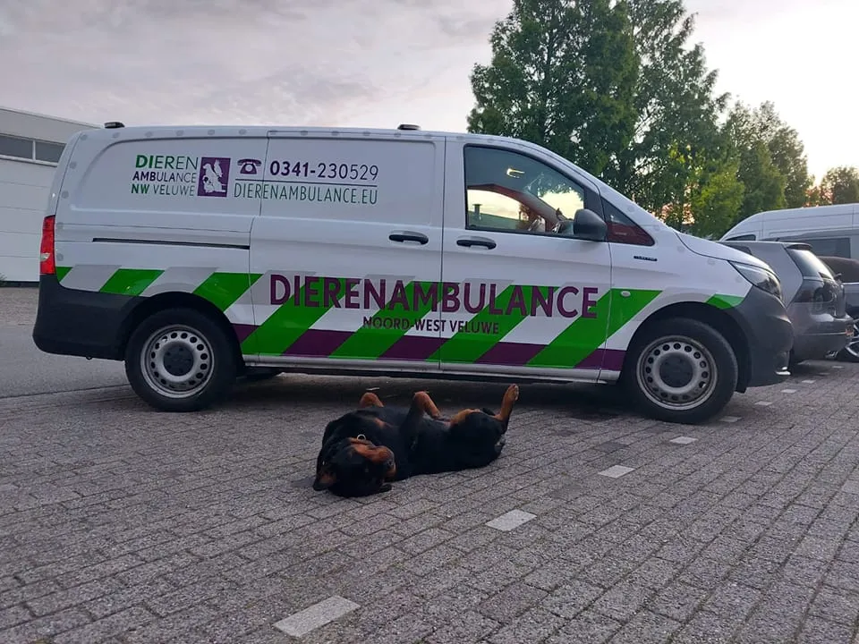 week 13 foto dierenambulance vacature van de week