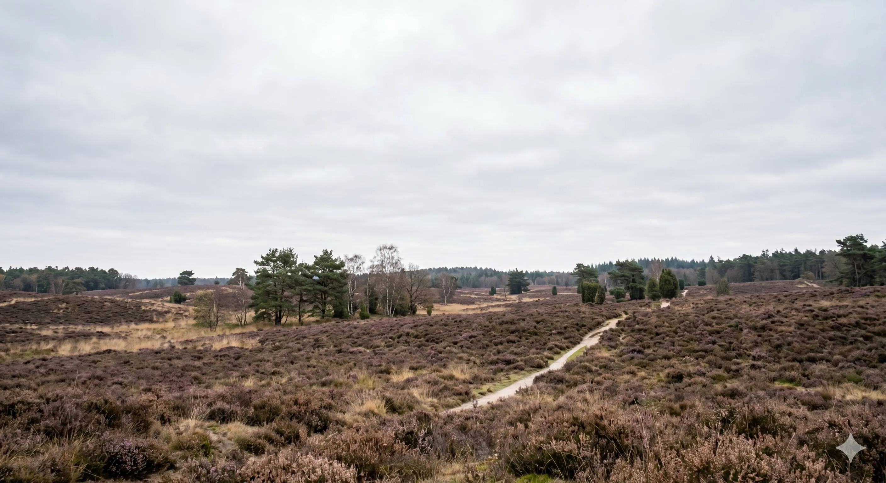 lente heide grijs