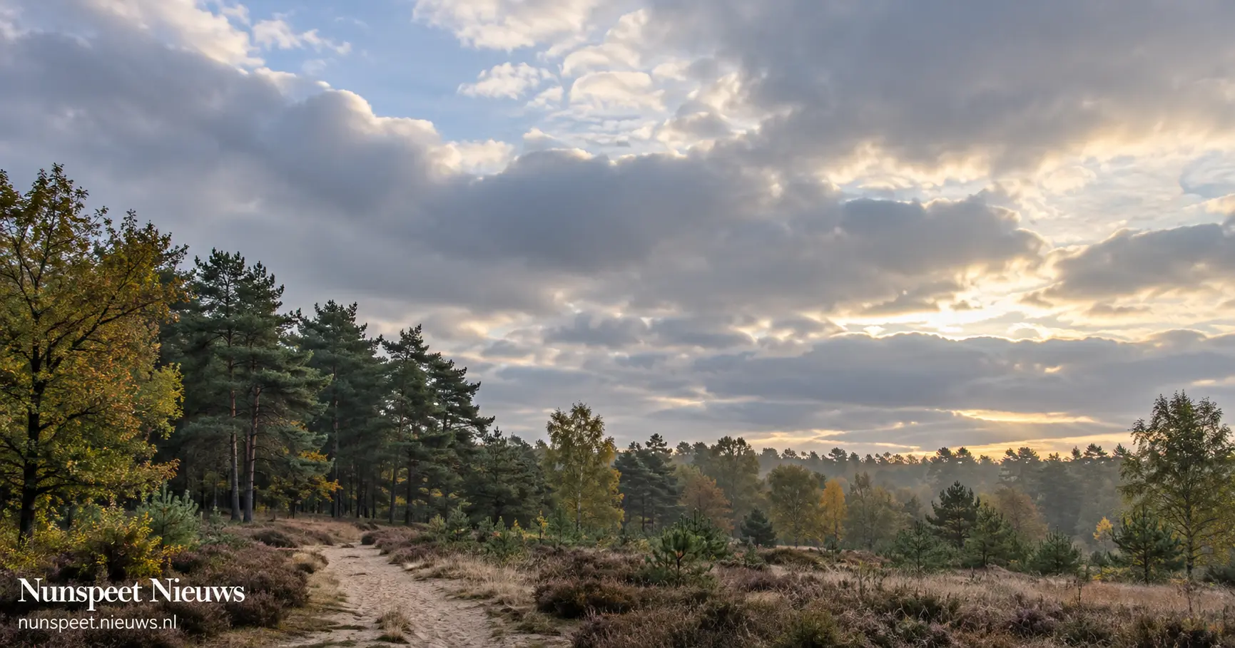 AI-illustratie bij het weer in Nunspeet: wolkenlucht boven een bosrand en zandpad