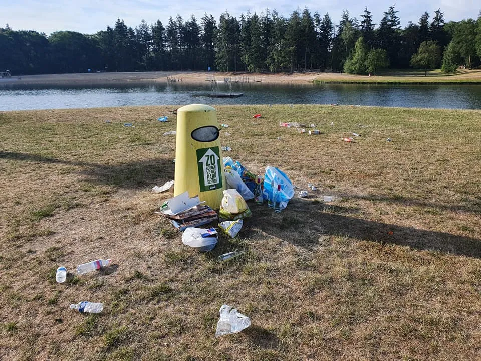 101890219 1804408363034705 1368809517504004096 n