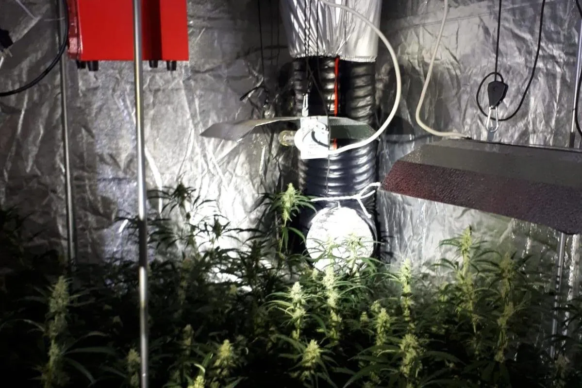 106125840 2612590598999962 7252478140211846121 o e1593439644752