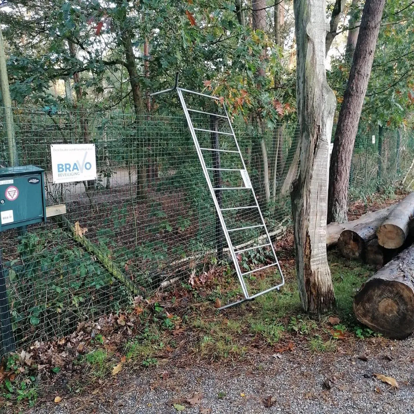 121037675 3352612438109819 7335240066114143846 o