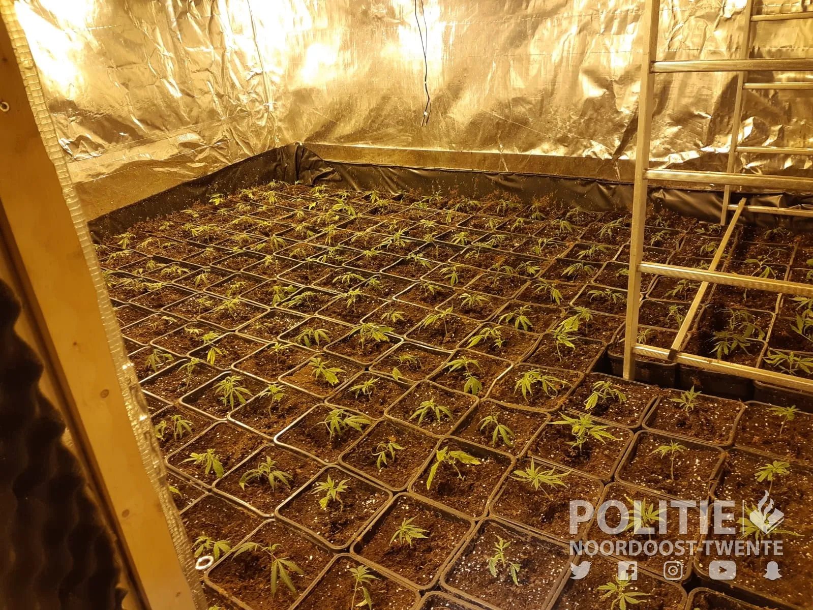 214418504 2901643333428019 7917534831072523279 n