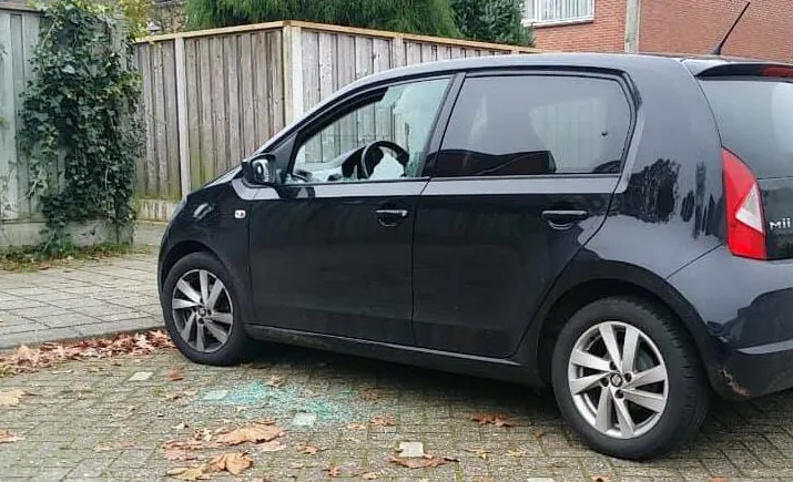 23467101 1958490484409980 421567848727744207 o