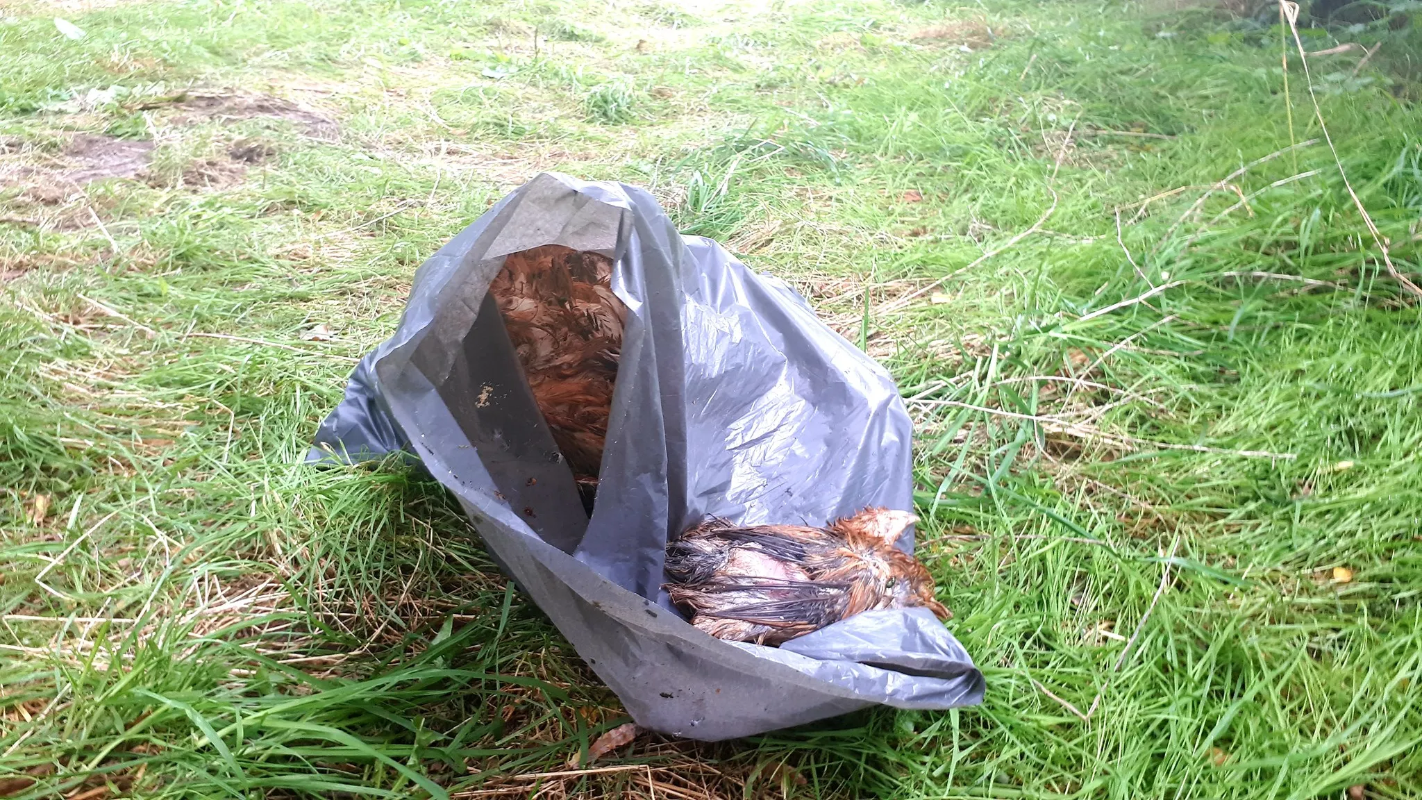 236107762 2930202600572092 3253549736462581004 n