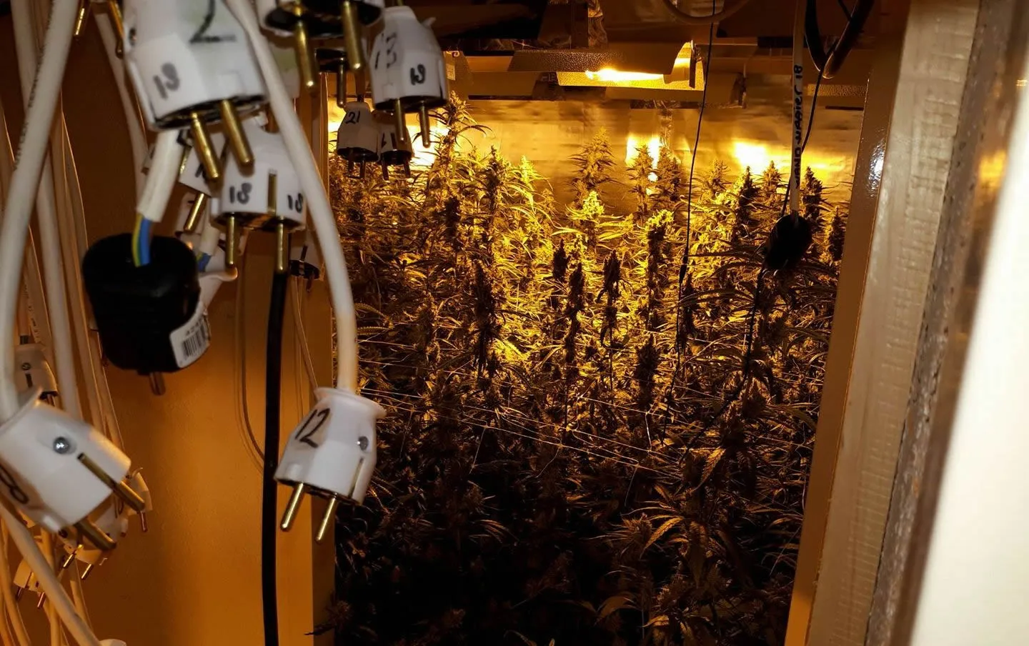 25438863 1975226796069682 3739247746044439480 o