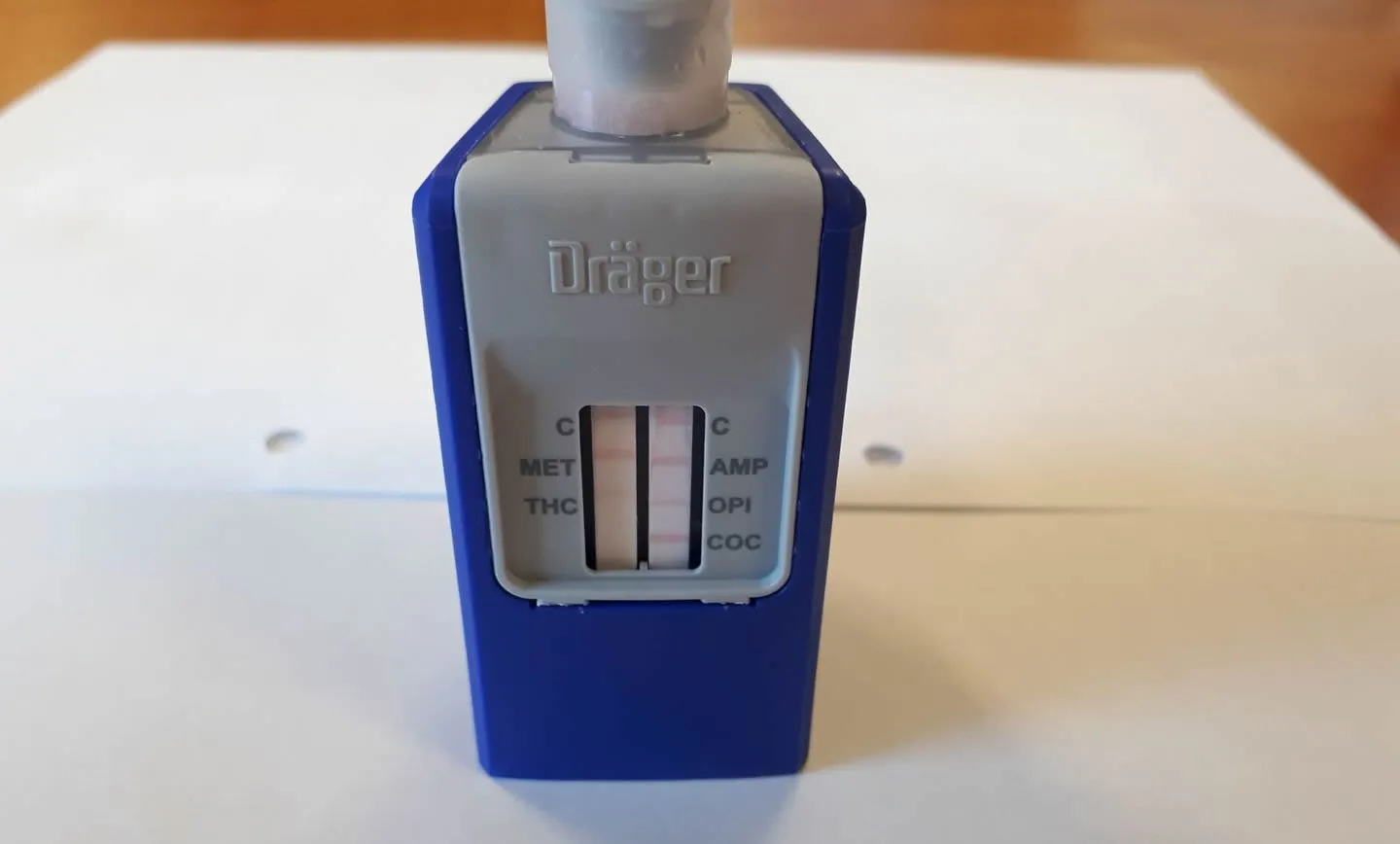 26232774 1554455814637372 1664437679453249304 o