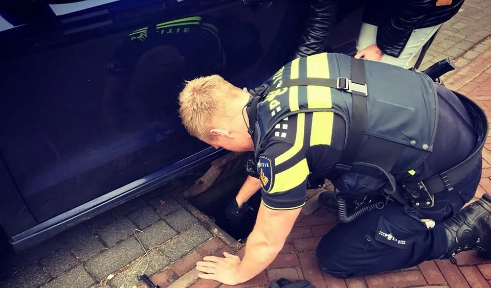 29133790 2014556468803381 7617445148829417472 n e1520864940420