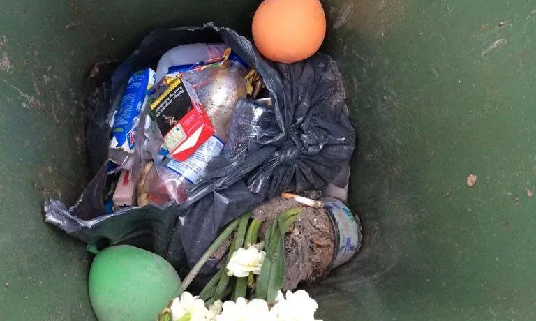 29196696 1644200465663138 3146087604726792192 o e1521109304160