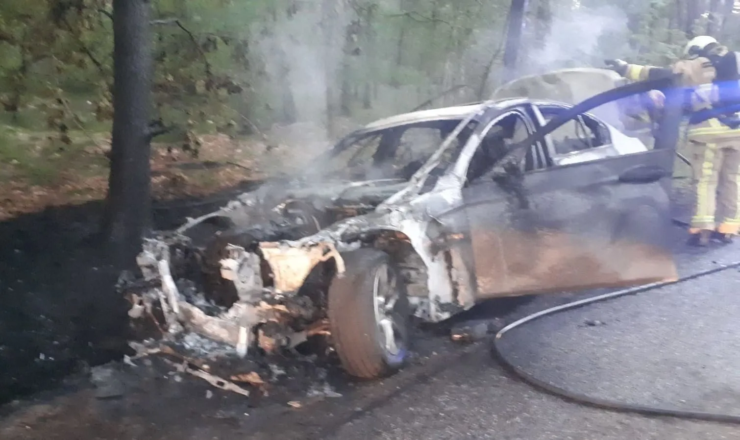 32104993 2041019832823711 3753309694488215552 o e1525797284928