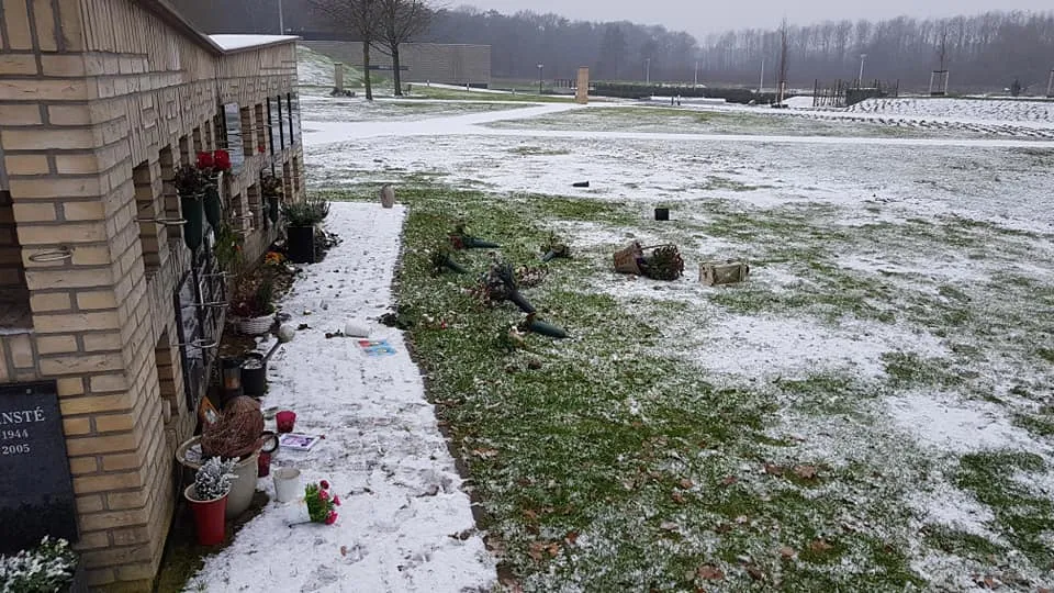 48314178 1962268123810256 4560495935313936384 n