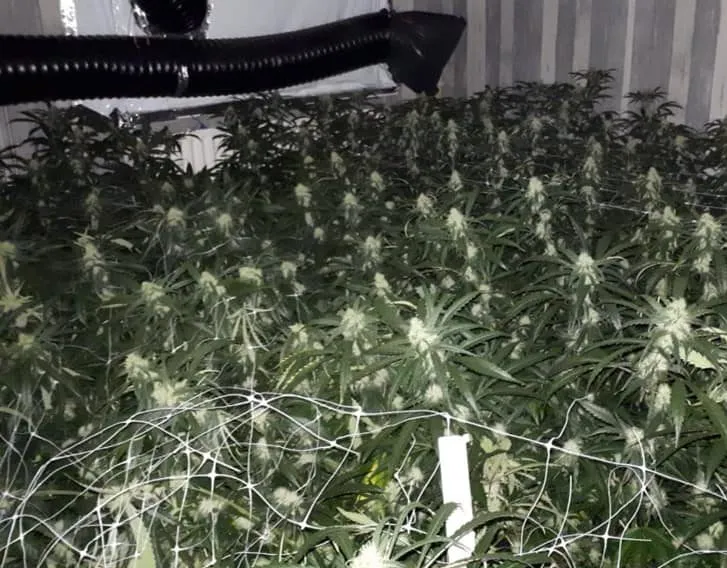 50301971 2216731468585879 2452506341256724480 n e1548188797314