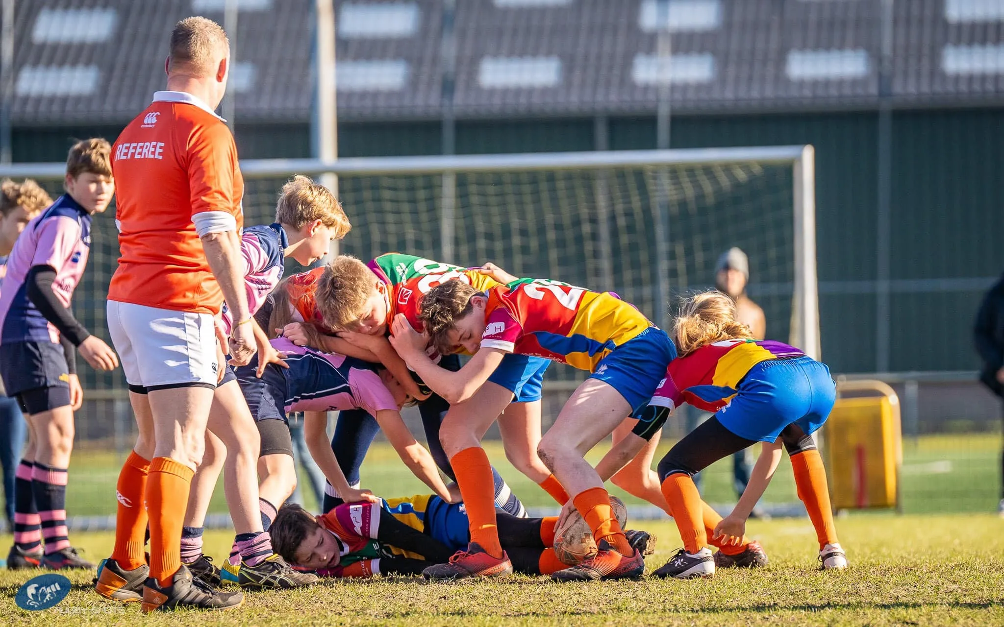 52434236 2230488153649406 7643396380613935104 o