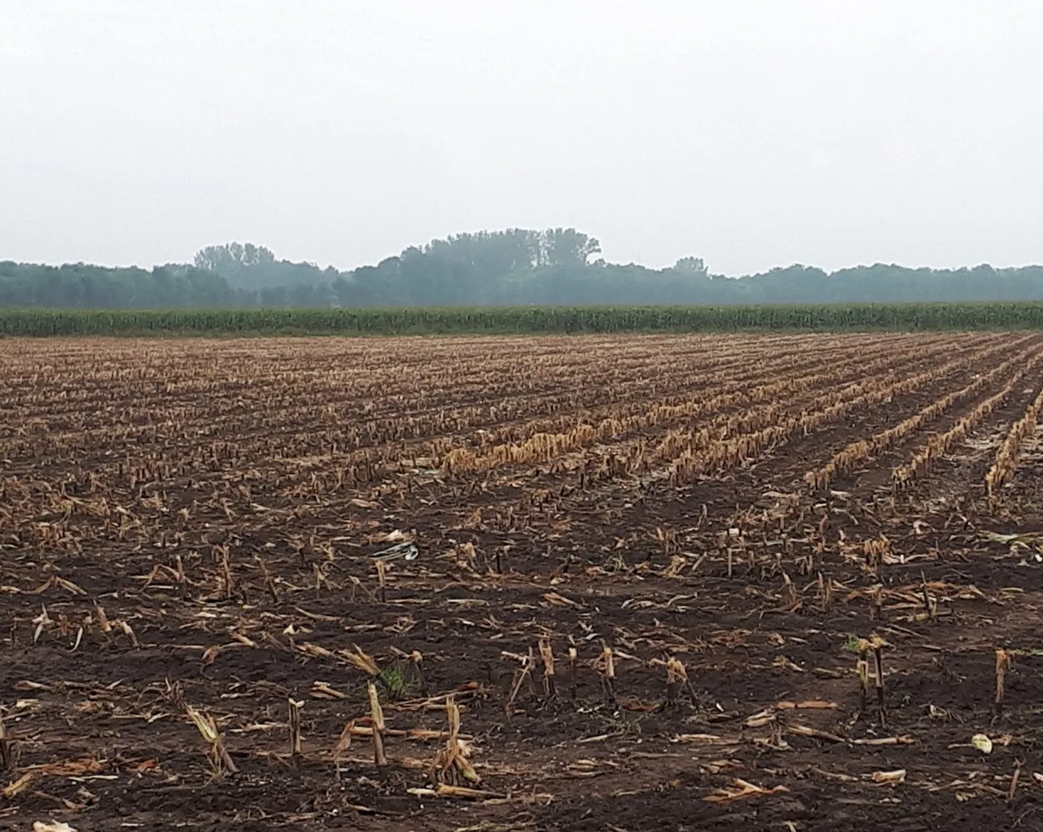 70711895 2458063090943302 7737587500201279488 o e1569316505625