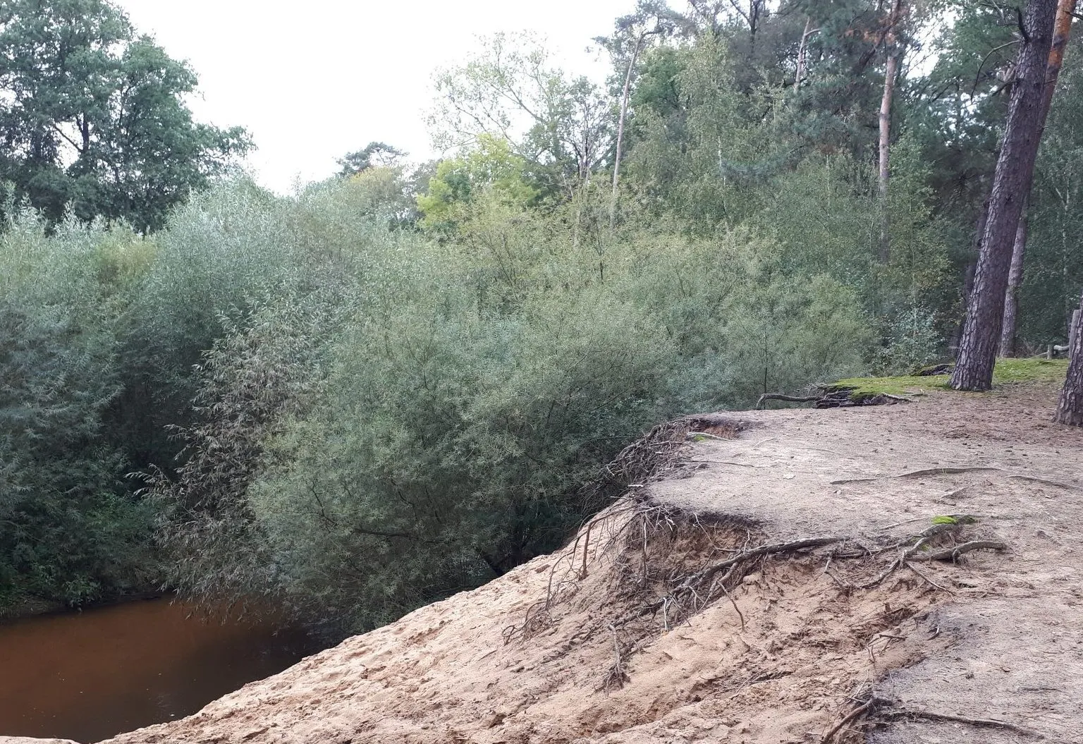 71933272 2487065451376399 9002880471851335680 o e1570372082208