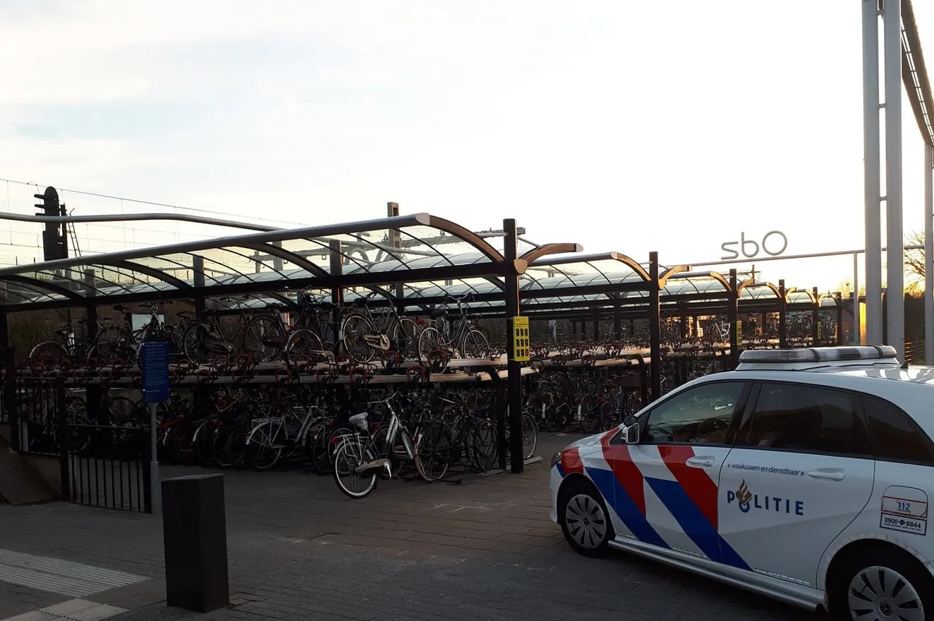 90697958 2535023653423324 9189415930923319296 o e1585077936731