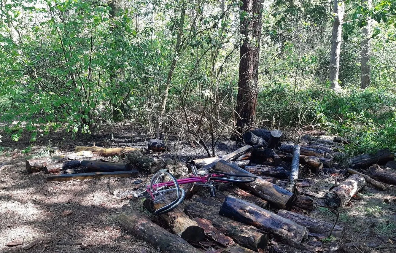 94365332 2559768810948808 8210931963243003904 o e1587752237889