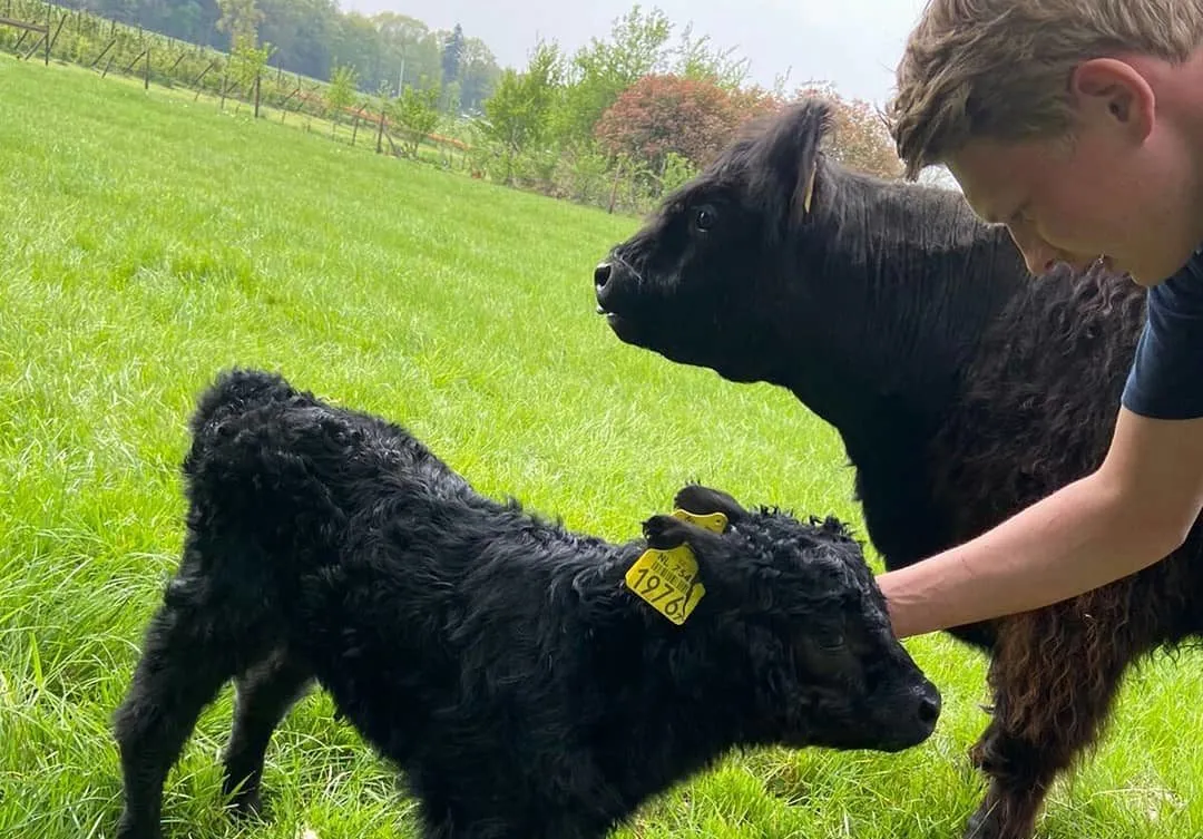 94780339 3200422270015373 2093220477131554816 o e1593531820931