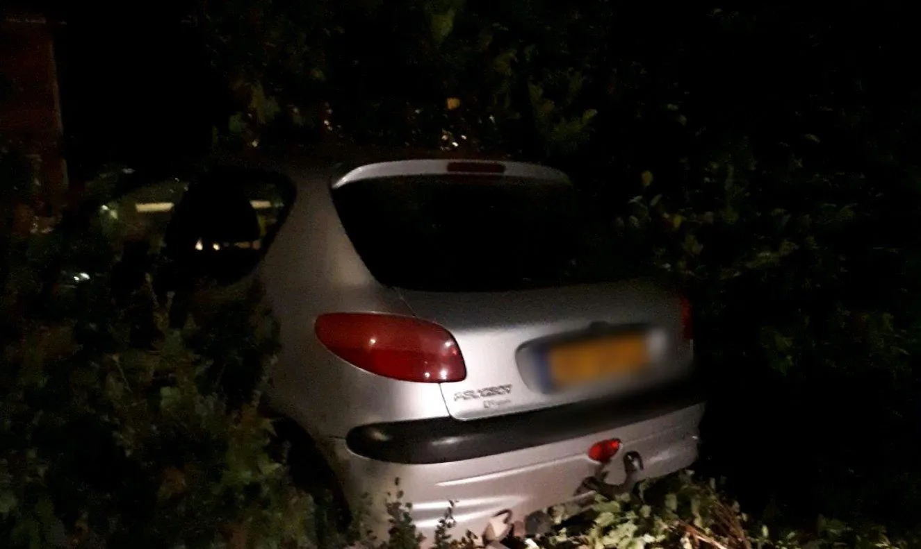 99557617 2582896708636018 2298010079787483136 o e1590312612392