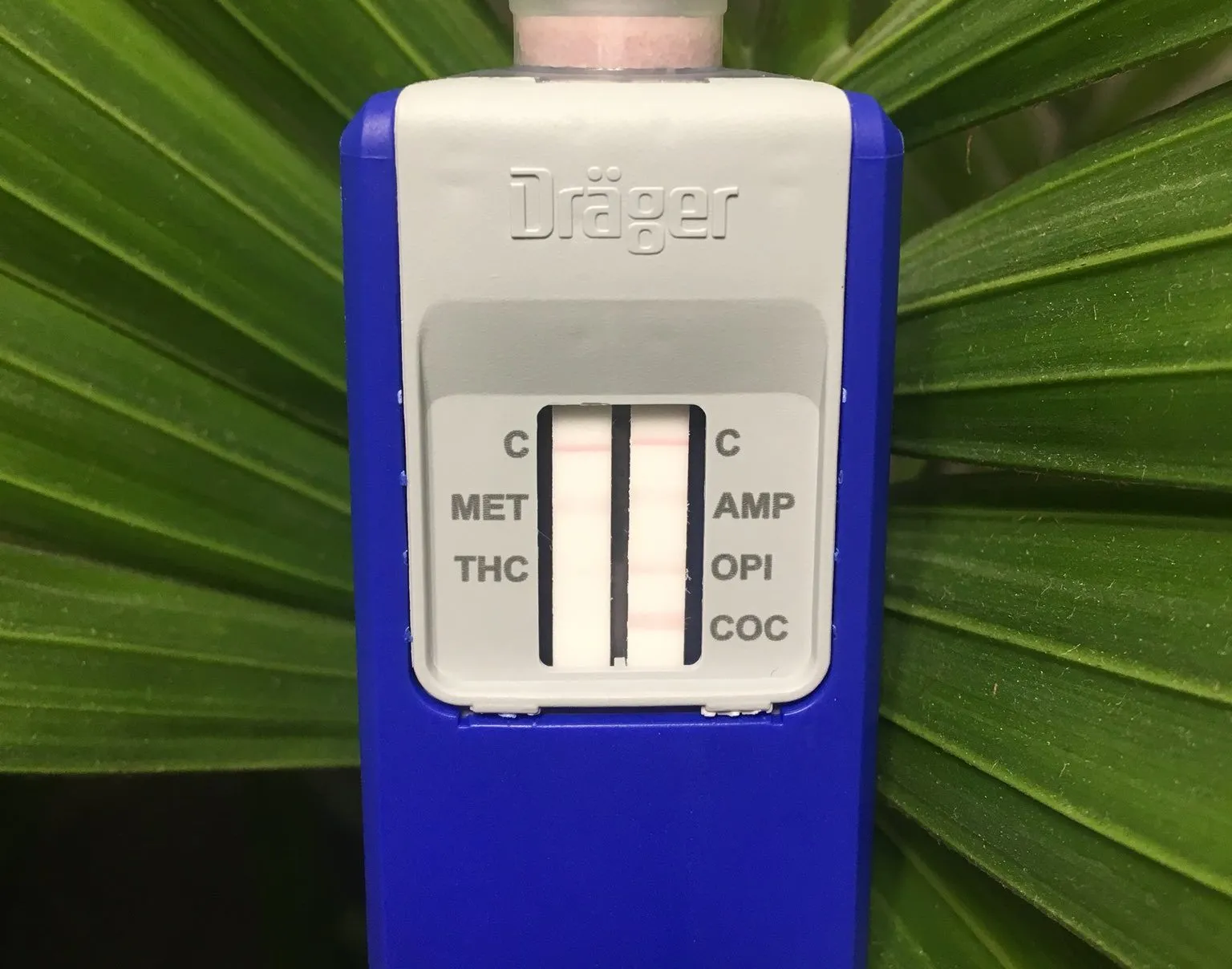 dyc iplwwaa5r8w e1549203202178