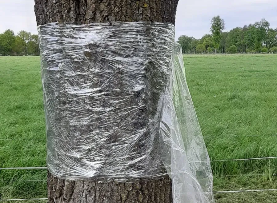 plastic folie om eik