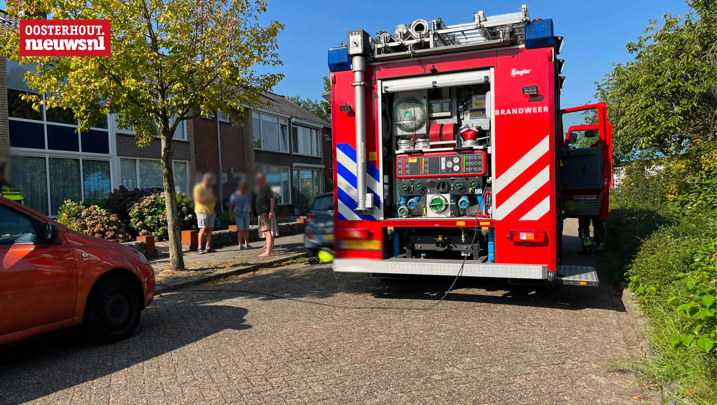 brand dorst