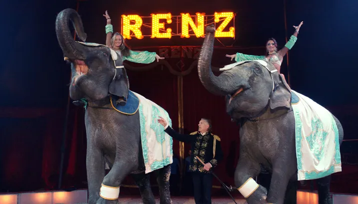 circusrenz