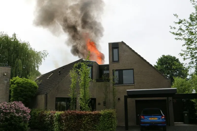 eu9yedxukz708frycg976wfhn image 33